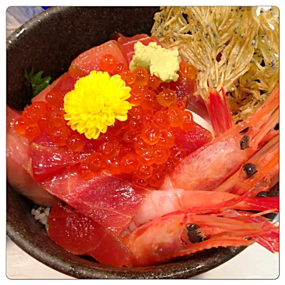 マグロ海鮮丼🐟😊熱海にて🚅|モモさん