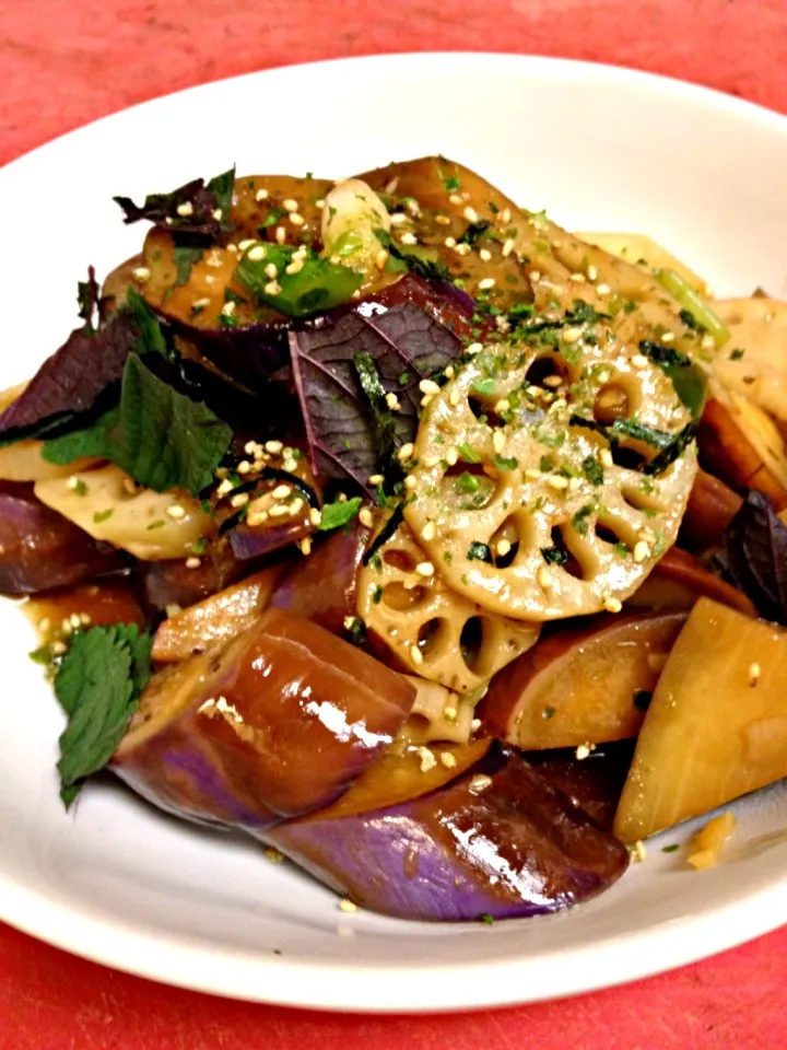 Eggplant & Renkon Stir Fry|chris bowdenさん