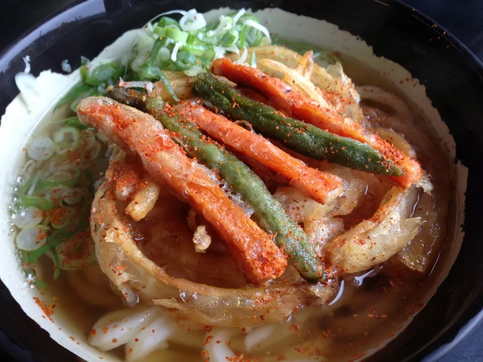 天盛うどんの野菜天のせ〜😋|みほままこさん