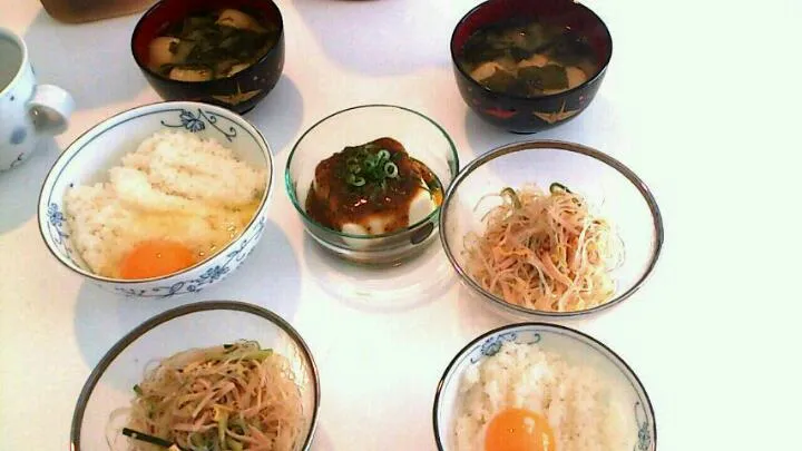 【朝ごはん】冷奴、卵かけご飯、味噌汁、春雨サラダ|みゆさん