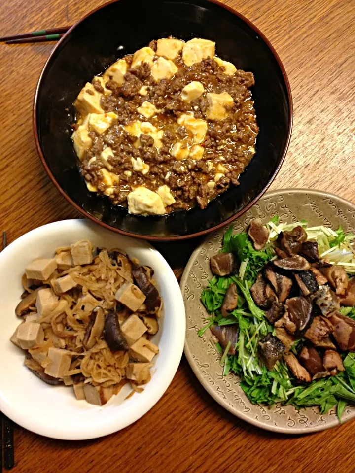 ★麻婆豆腐★高野豆腐切り干し大根椎茸の炊いたん★かつおサラダ|三宅 里美さん