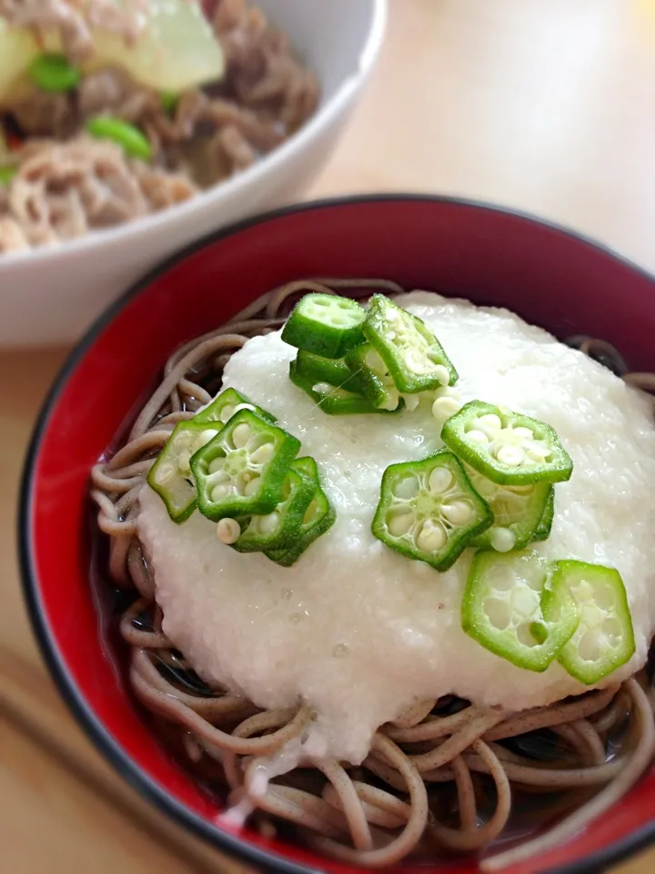 Snapdishの料理写真:トロロ蕎麦|きよたさん