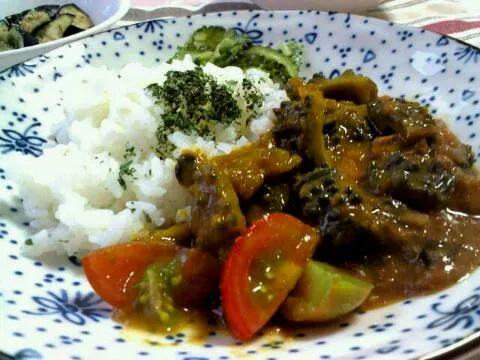 ゴーヤin スパイシーカレー♪|cookさん