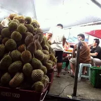 Snapdishの料理写真:durian buffet!|Cheryl Pui Shanさん