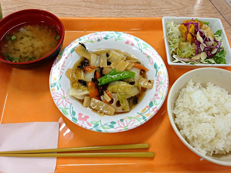 水餃子の五目あん他(^O^)／|すかラインさん