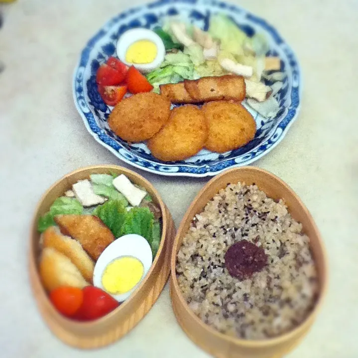 Snapdishの料理写真:今日のJKランチプレート＆OL弁当。Today's lunch.|hoppycowさん