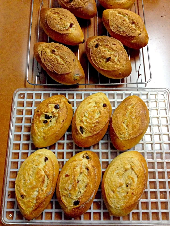 レーズンパンU^ェ^U|みっくU^ェ^Uさん