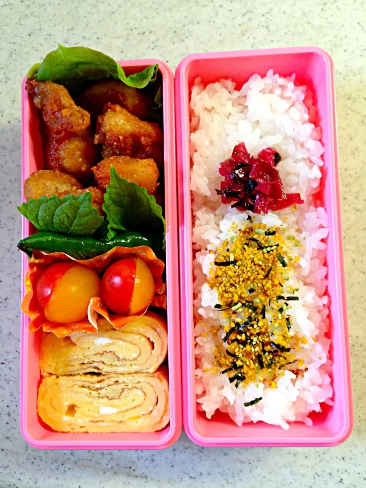 お弁当 JK久々のお弁当＊勉強会|花屋さん