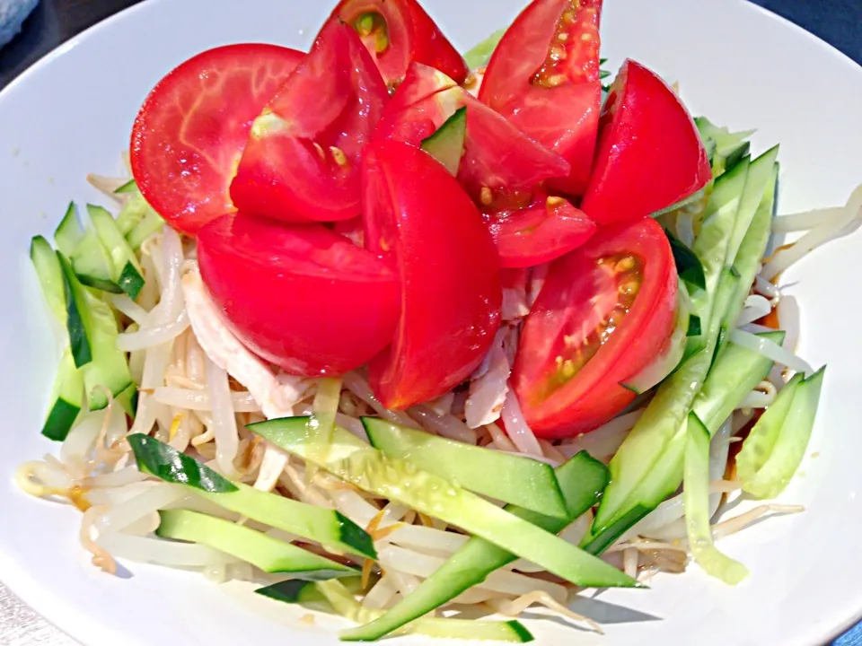 トマトたっぷり冷やし中華麺|seiko Oさん