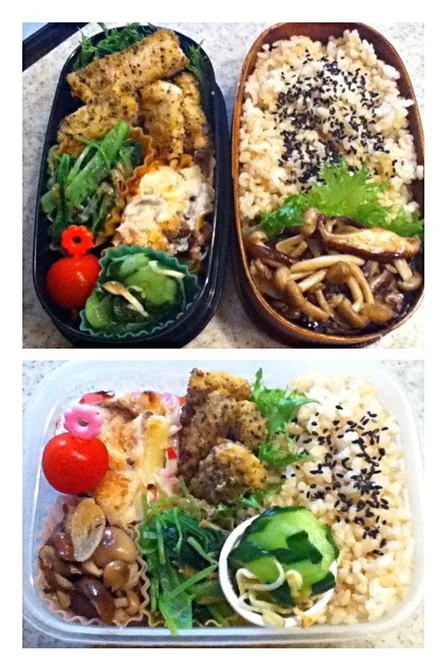 Snapdishの料理写真:8/9  ダンナと娘のお弁当|naoさん