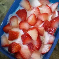 Greek yogurt & strawberries|Meghan Tracyさん