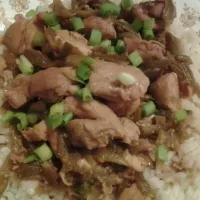 TERIYAKI CHICKEN N RICE...YUM-O|Iris Beckwithさん