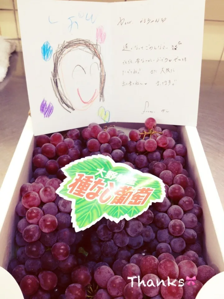 ゆこちゃん♪からのデラウェア🍇|かまさん