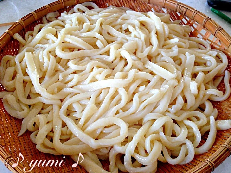 なんと((((；ﾟДﾟ)))))))      息子の手打ちうどん＼(^o^)／|YUMIさん