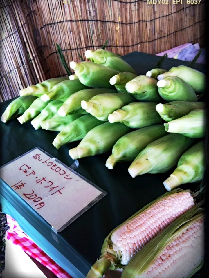 生で美味しいピュアホワイト🌽|tomoさん