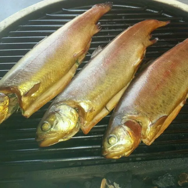 Home pecan wood smoked trout / Gerookte forel|Frank&Jolanda - Eteninbeeldさん