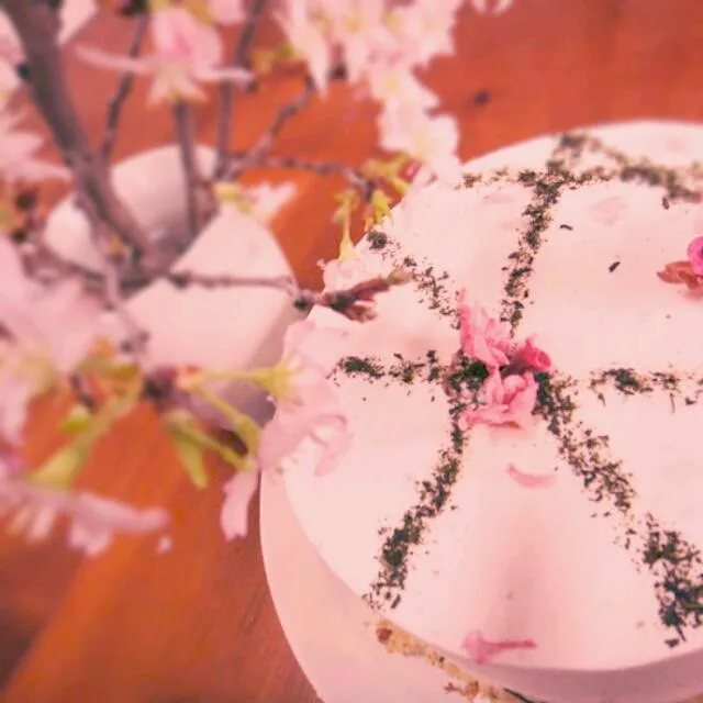 Cherry blossom & Greentea CAKE|Alley Catさん