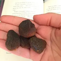 Dried apricots!|devin sさん