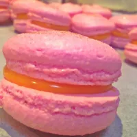 Snapdishの料理写真:Macarons|Belinda Daveyさん