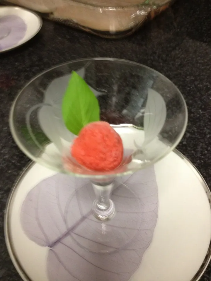 Strawberry LemonBasil Sorbet|Christine pavelkaさん