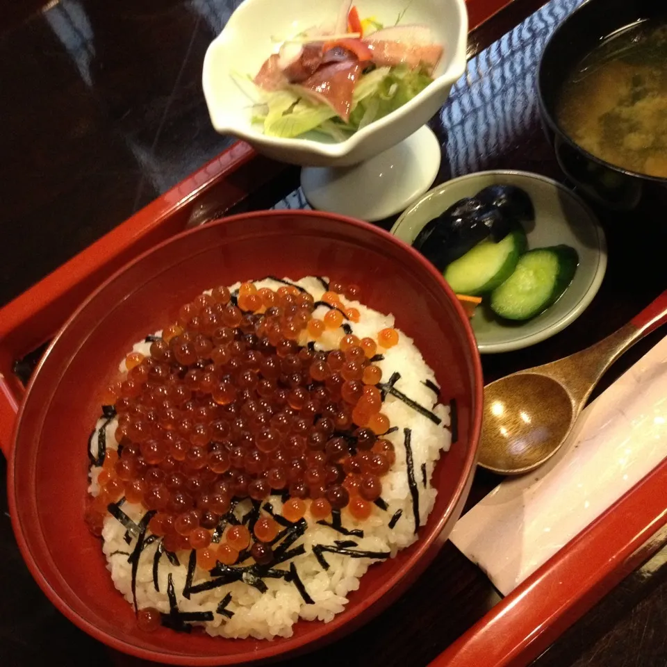 はらこ丼|そらまめさん