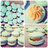 Macarons|Belinda Daveyさん