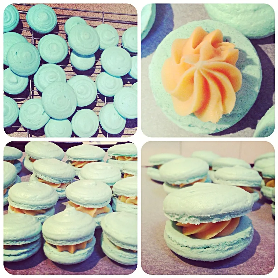 Snapdishの料理写真:Macarons|Belinda Daveyさん