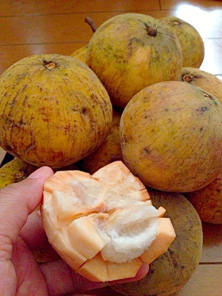 ~SANTOL#Philippines~<wild mangosteen>|Len(^_−)−☆さん