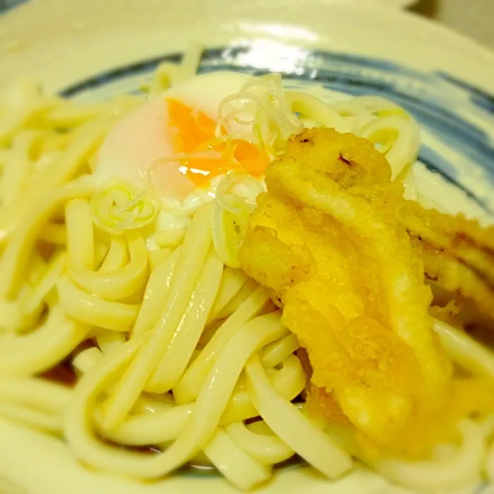 温玉イカ天ぶっかけうどん♪|ごるびーさん