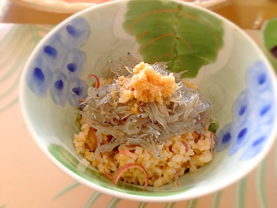 生しらす丼|Tomokoさん