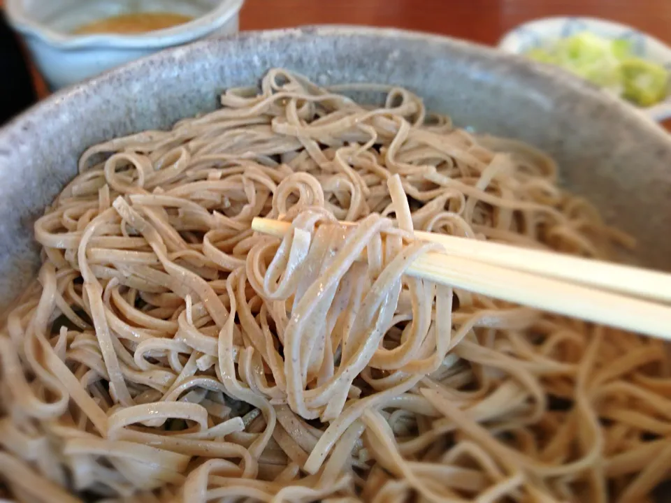 冷しとろろ蕎麦@手打ち蕎麦御池・乗鞍高原|らーめん好き！さん