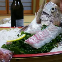 Fresh sea bream|Sahoooさん