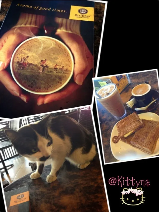 ღсμтёღ🐱(๑ﾉ ᴗ ◔ิ๑)
🎀加史牛油烧面包🍞☕✨|🎀Kittyna🌸さん