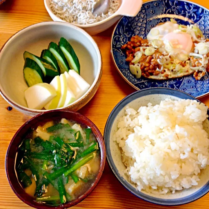 焼き納豆で朝ごはん|Yoko Hayashiさん