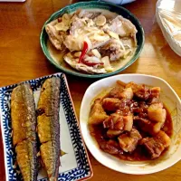 Snapdishの料理写真:Pork adobo/paksiw n isda and fried fish|nakaya glorybeさん