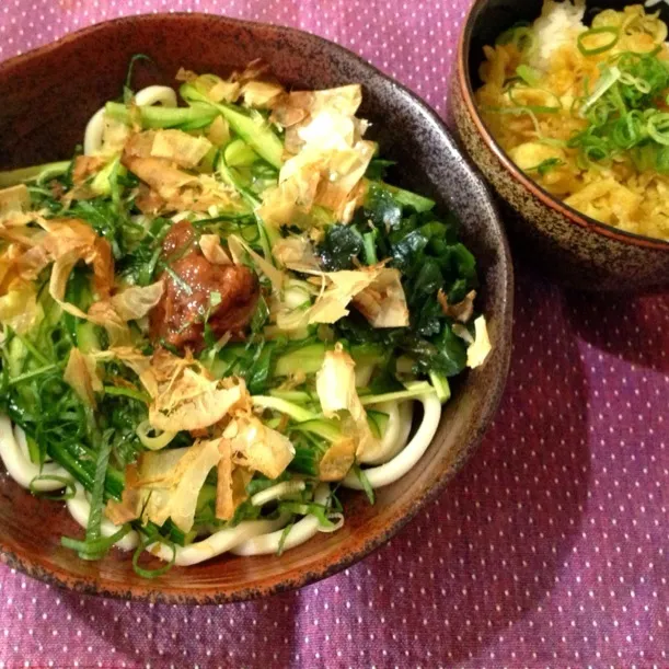 冷やし梅うどんと天かす丼|純さん