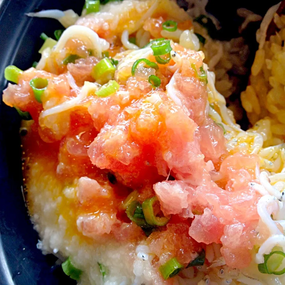 食べかけシラス中落ちとろろ丼|tomoeさん