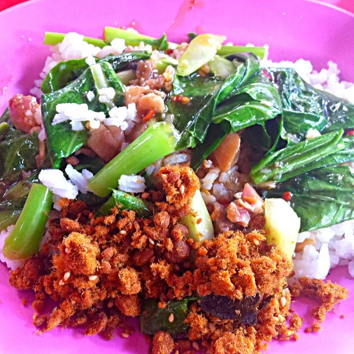 RICE WITH  STIR FRIED CHINESE KALE WITH SALTED FISH|Blinkieさん