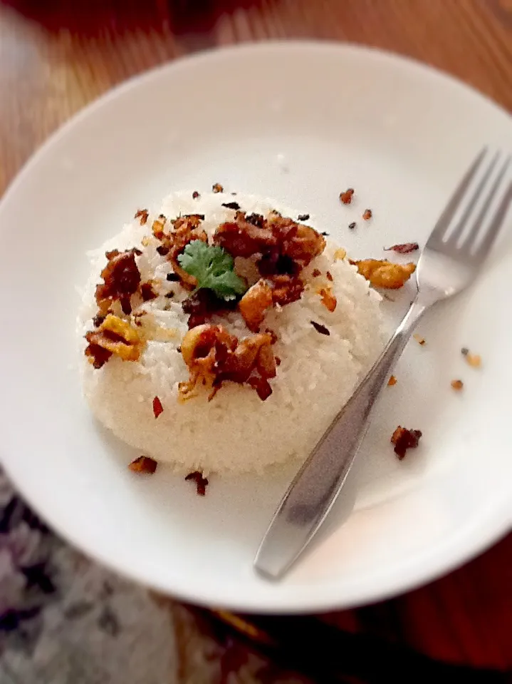 Jasmine rice/ cut up fried chicken breast/toasted garlic/cilantro on top|Aeriel Macabeoさん