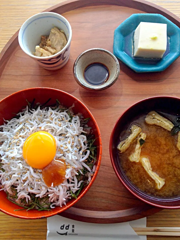 和歌山定食 釜揚げしらす丼|ryokokumaさん