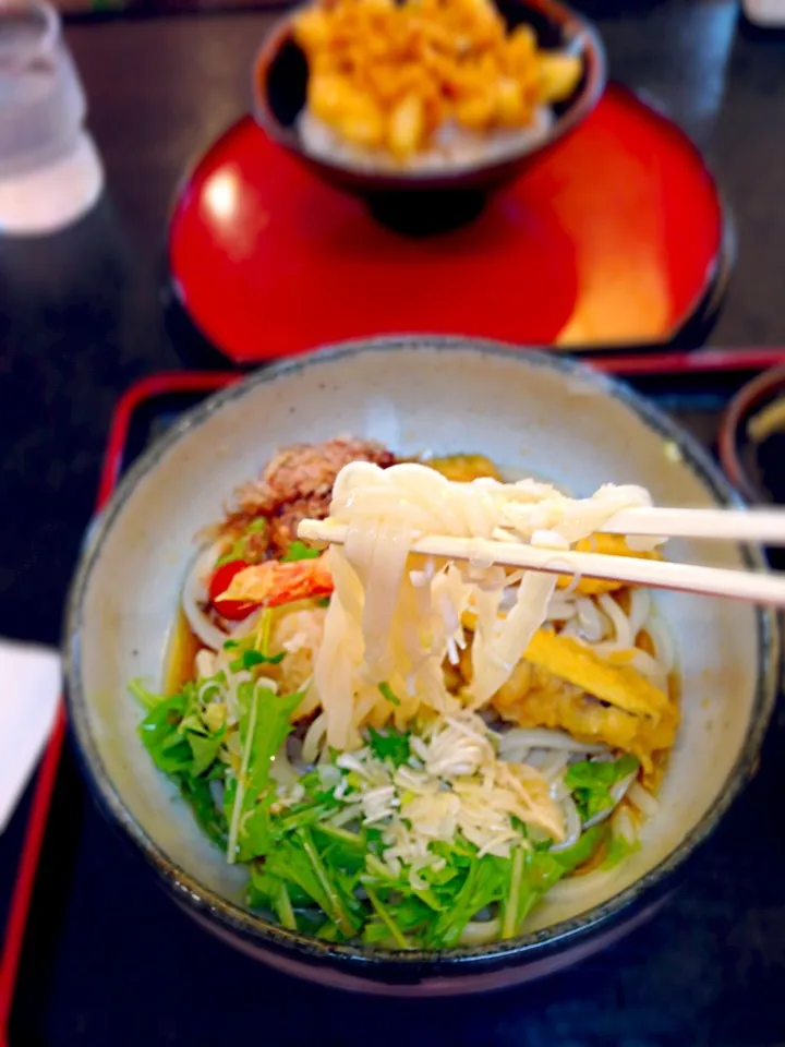 羽黒山から戻ってきたらうどん市。エビ天おろしぶっかけ＆かき揚げ天丼、いただきまーす♪|ASuzukiさん