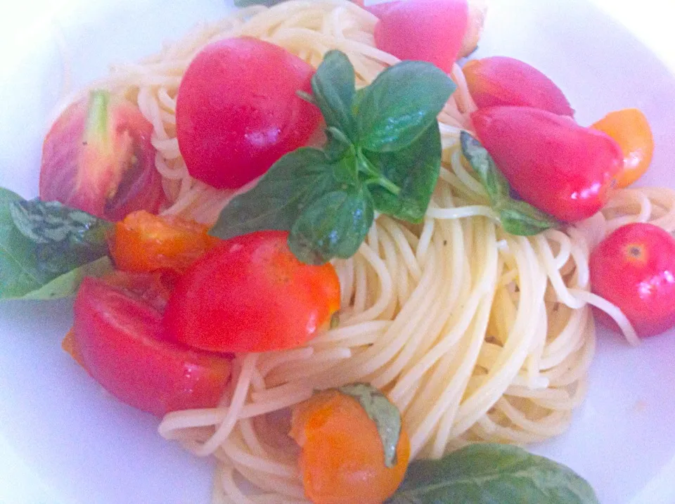 Cold tomato&basil pasta|Masakiさん