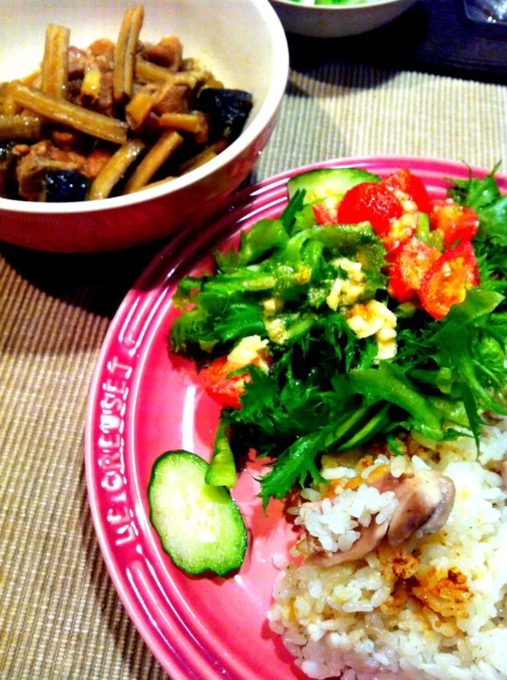 鶏のサワー煮込みとシンガポール鶏飯とサラダ|ゆきぶぅさん