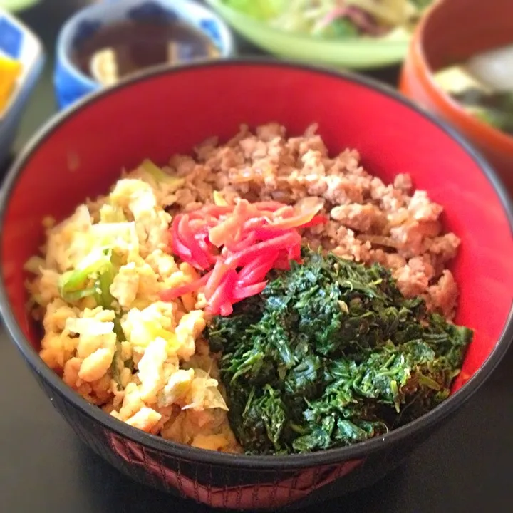 Tricolor bowl 三色丼|Miko Koizumiさん