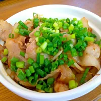 Snapdishの料理写真:野菜もいっぱい豚丼|なーりんさん