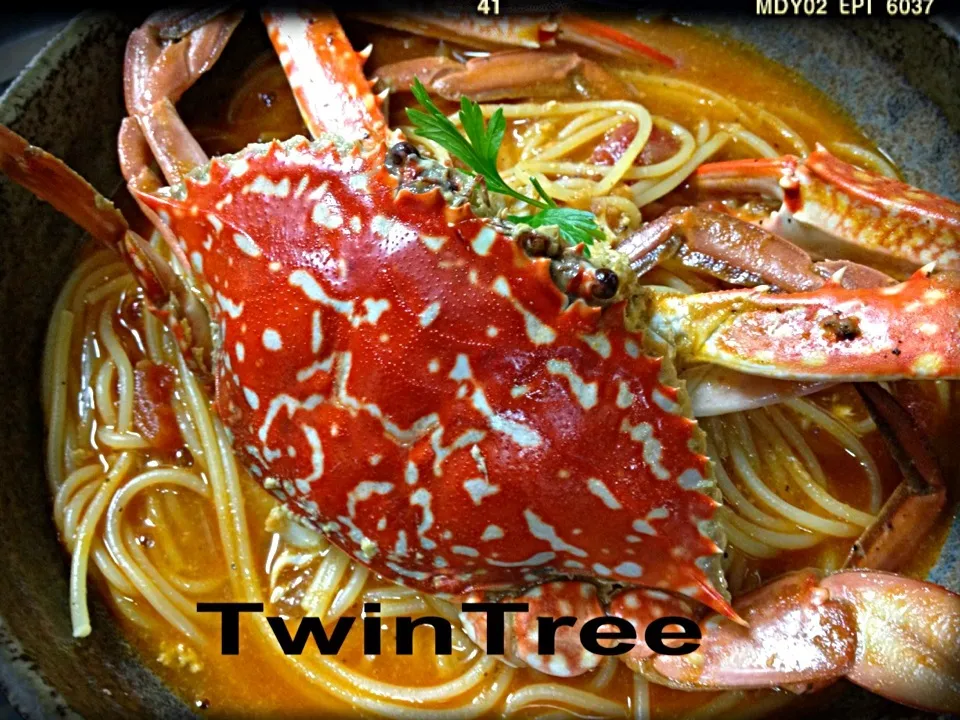 渡り蟹でアラビアータ風パスタ🍝|TwinTreeさん