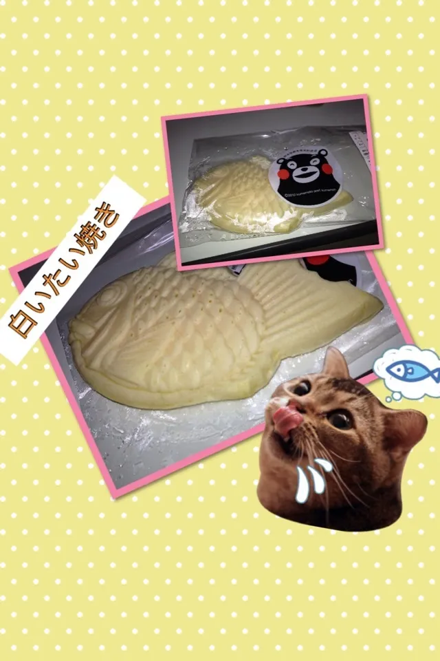 Snapdishの料理写真:白いたい焼き！マンゴー味＼(^o^)／|YUPI0さん