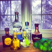 Snapdishの料理写真:Tequila Selection|Linda Brunoさん