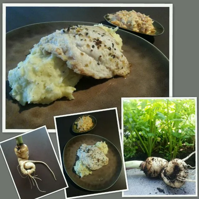 Snapdishの料理写真:Snapper with parsnip potato mash|Frank&Jolanda - Eteninbeeldさん