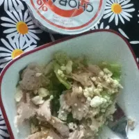 Salad with turkey and feta cheese with vinegar and oil along with some Greek yogurt🍃|darmacarterさん